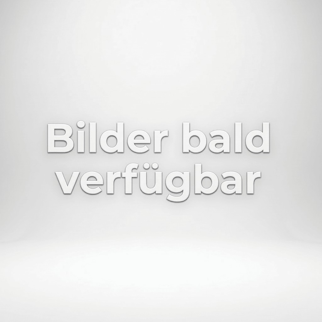 CFMOTO U10 Thumper Fab Edition by EBLE